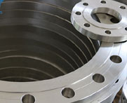 Stainless steel 316/ 316L Flanges Manufacturer/Supplier