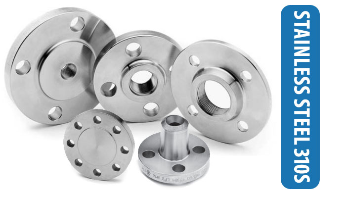 SS 310S Flanges